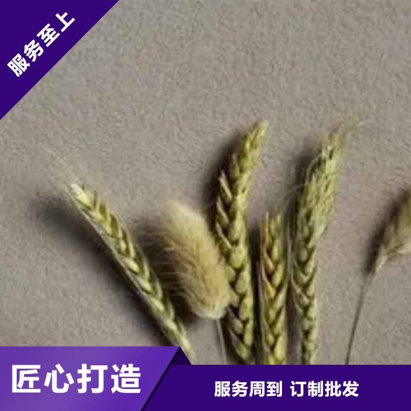 雅晶石稻草泥巴墙涂料销售的是诚信服务至上