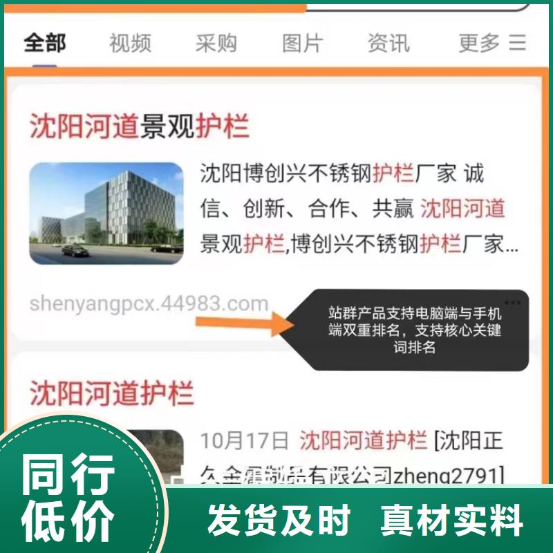 软件网站制作开发实力运营团队当地服务商