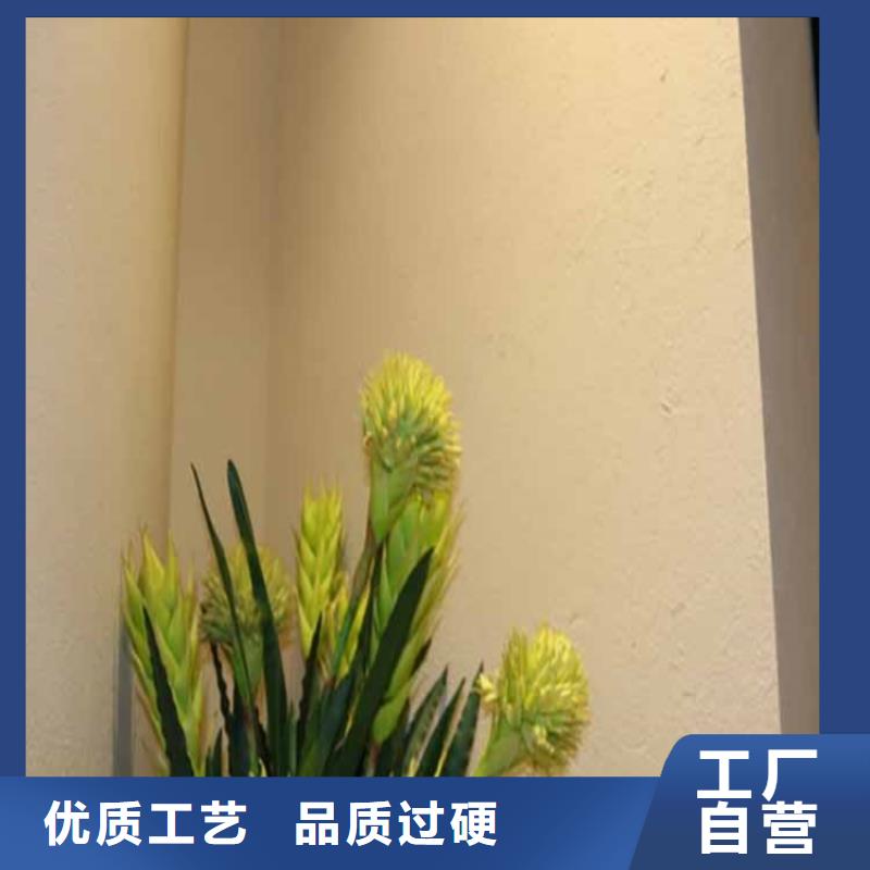 无机灰泥涂料定制价格多年行业经验