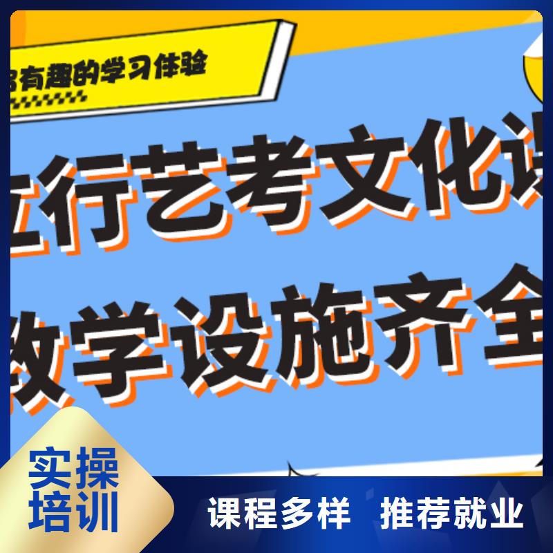 艺考文化课班价格双文化课教学本地厂家