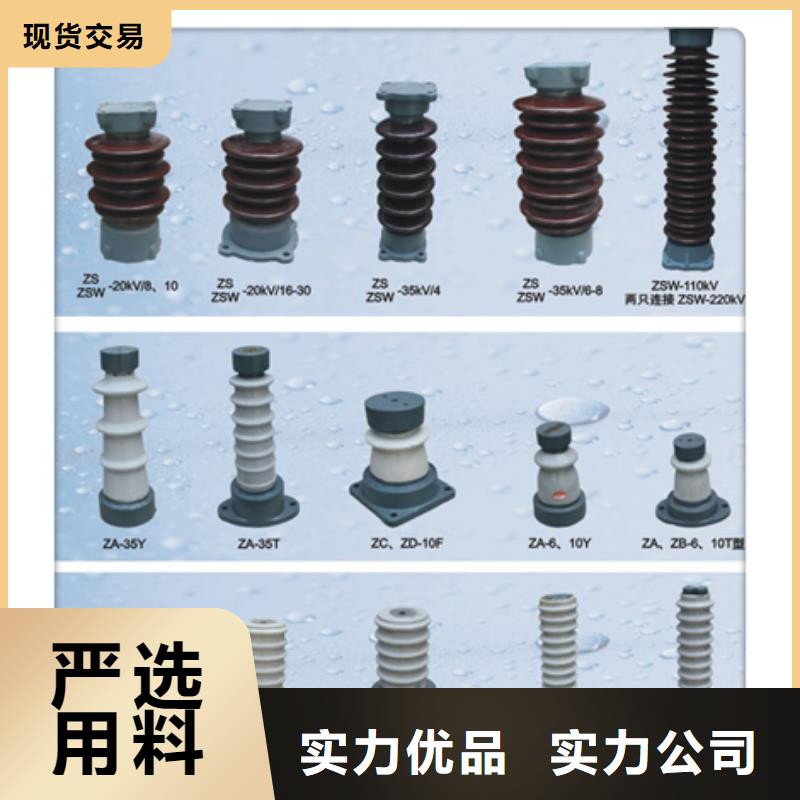 ZA-10T户外支柱绝缘子当地制造商