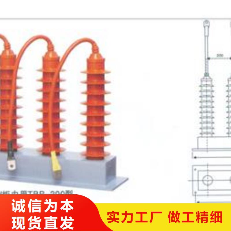 TBP-A-6.3F/85中性点组合式避雷器闪电发货